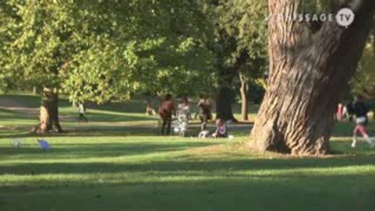 Frieze Sculpture Park 2009