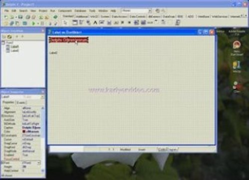 Delphi Label Kariyer Video Görsel Eğitim alintiyap.net