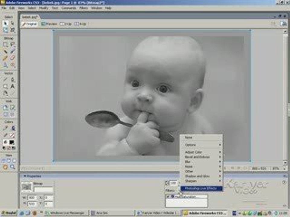 Fireworks Kariyer Video Görsel Eğitim www.alintiyap.net