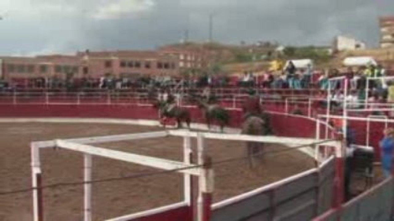 2009_09_18 caballos