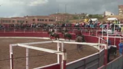 2009_09_18 caballos