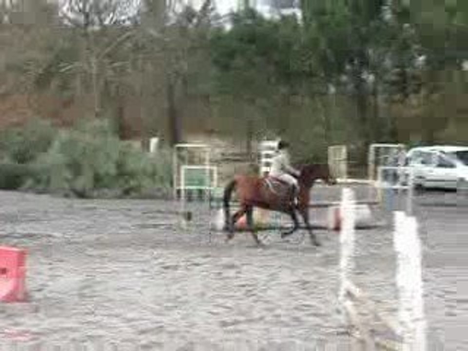 Mon Premier Concour De Saut