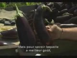 LLP We Feed The World - 100.000 morts par jours -