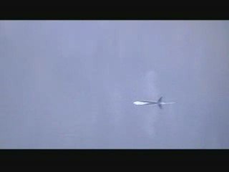 jeg elsker norge (kinsarvik, orcas in fjord)