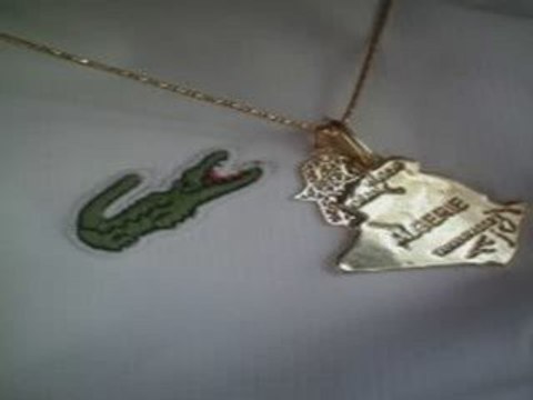 Je chante jena lee (j'aimerais tellement)