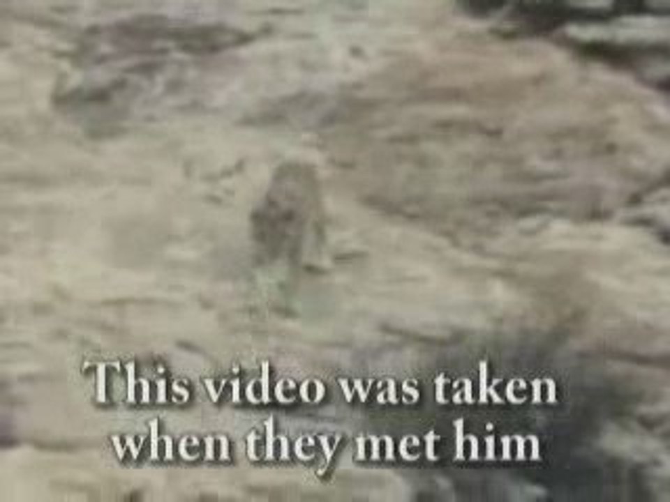 retrouvaille avec un lion