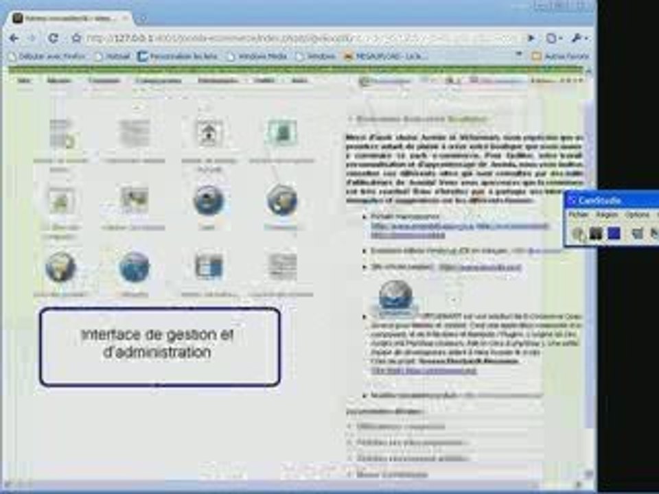 presentation