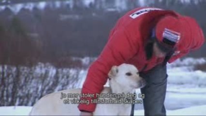 That's Mushing ! Et eventyr med dagens sledehunder