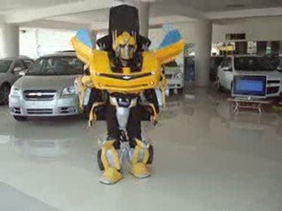 transformerkostumonFlickrPhotoSharing