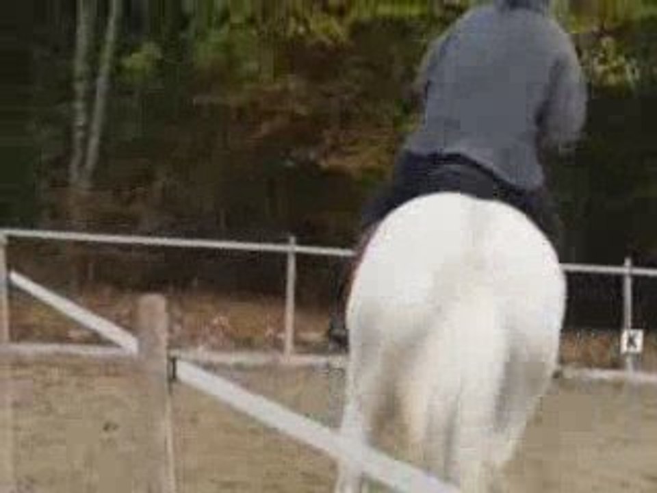 Spirit et Cricri sur la carrière le 22 octobre