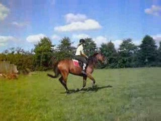 Quisolyn mon Trotteur Français...