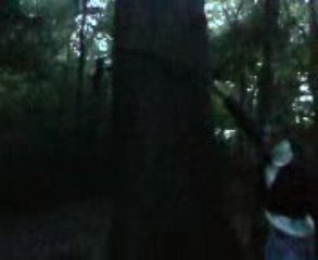 harlem avec tout ses potos