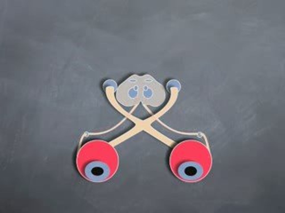 How to Examine Normal Pupils