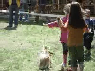 Юный хендлер