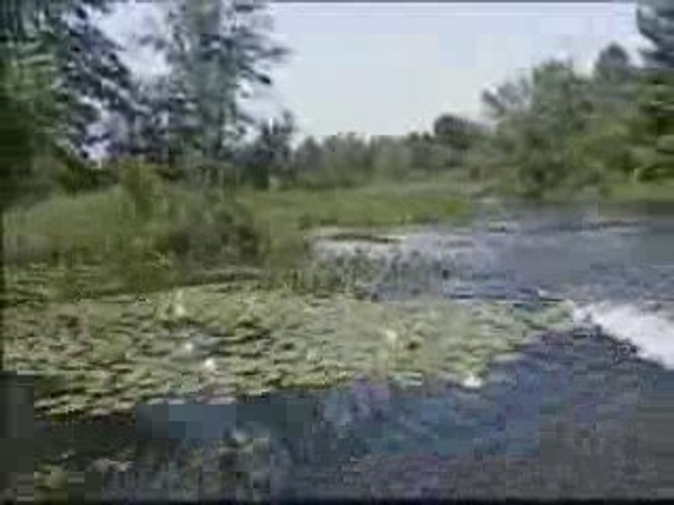 riviere du lièvre