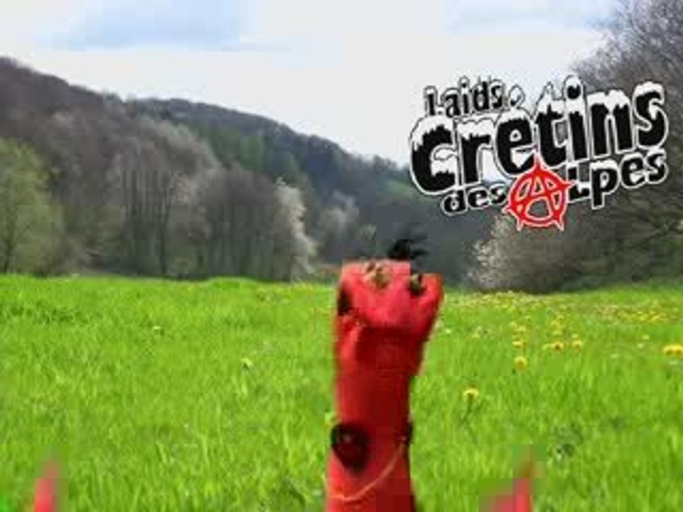 Les doryphores sont de retour !