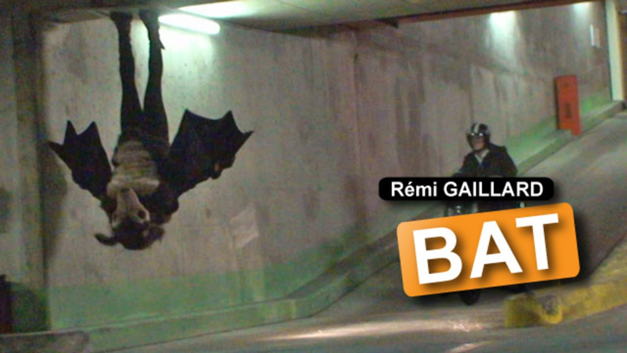 Chauve Souris (Rémi Gaillard)
