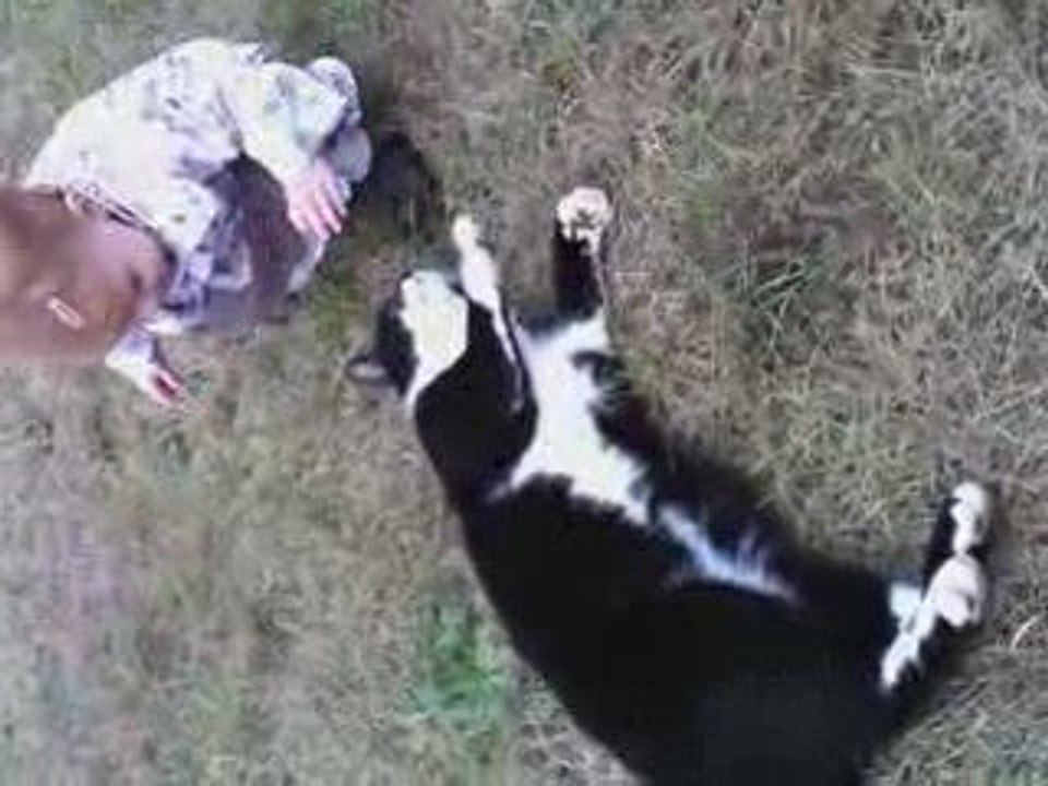 Le minou-minou d'en bas