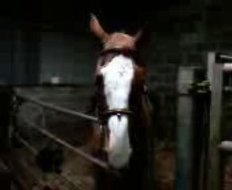mon chou <3