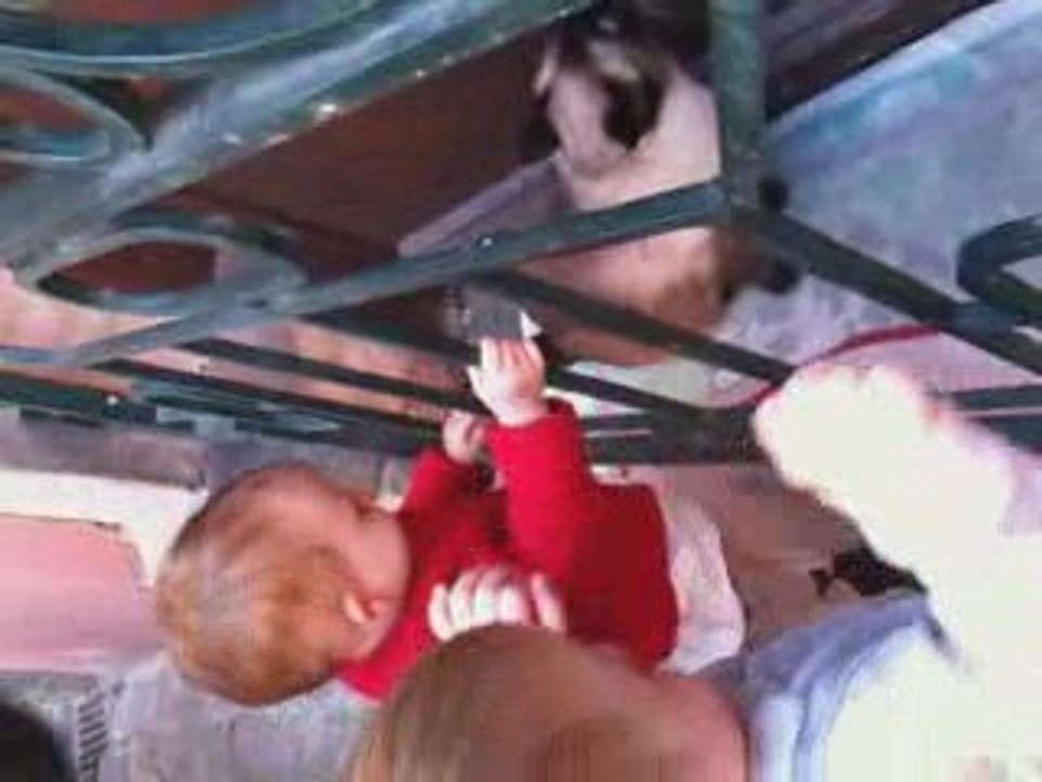 Le minou-minou de Colmar