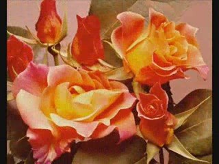 EMRAH GÜNEŞ & TURGUT KIRGIL - MENZİL DERYASI