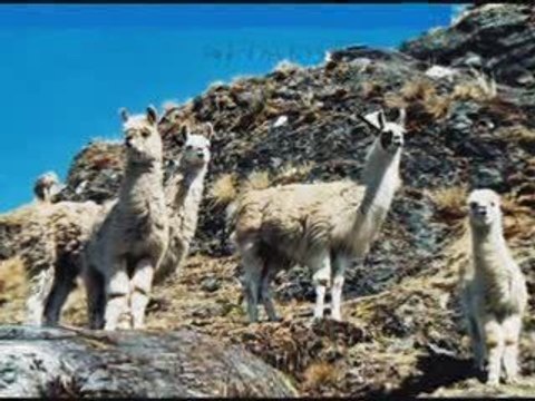 Welcome to Lares Trek