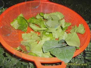 Slayt Reşit Kasap_Sardalya partisi vermiş Afiyet olsun