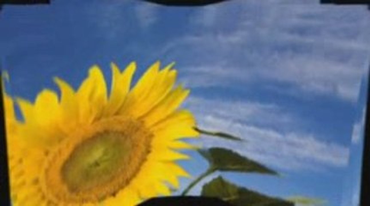 Teamwork Revolution Power System (TWRPS)