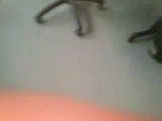 Otman et Tricou danse