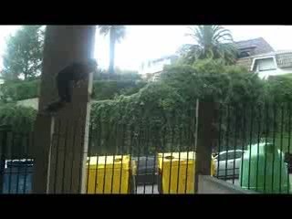 training leon ury adri 09