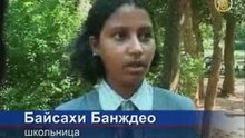 День рождения тигрят празднуют в индийском зоопарке
