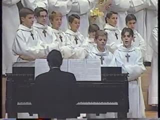 Miau _ miau _ miau -  Video Divertisment