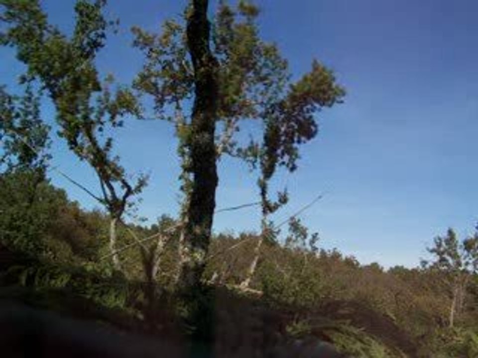 chasse a la palombe en Lot et Garonne pose 4