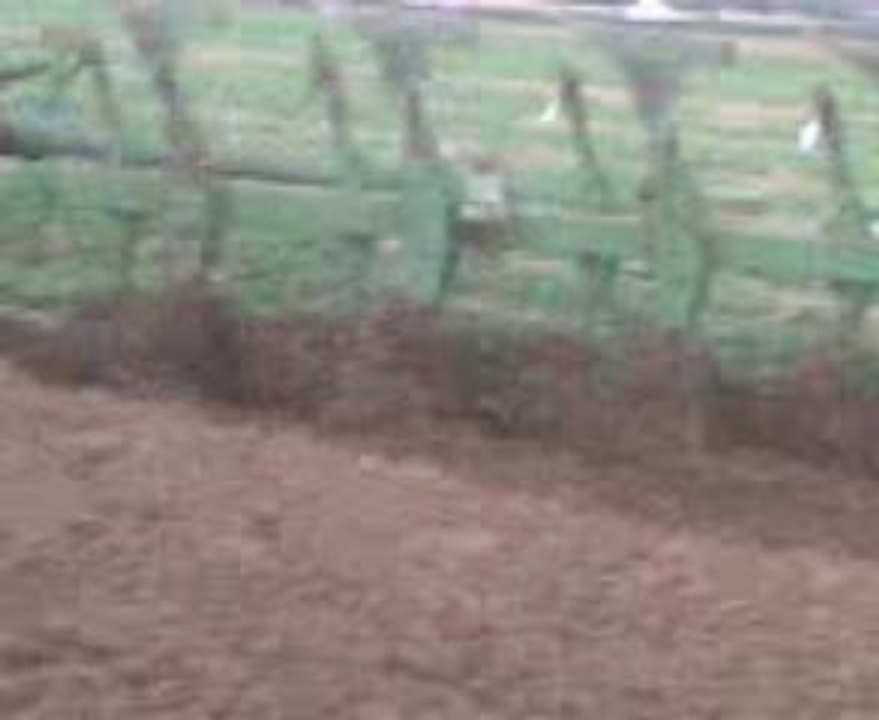 labour avec renault atles 936 et 12 fer charlier