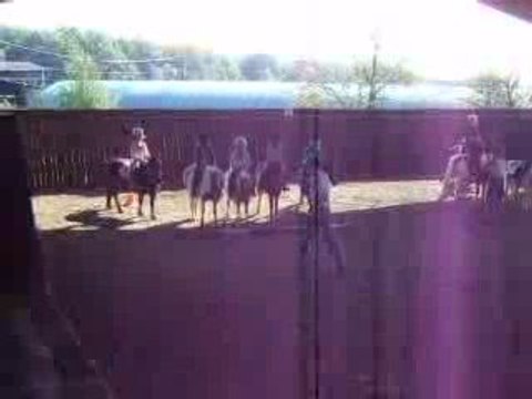 Théa 1er Pony Games au Club du Poirier Oct 2009 IM617