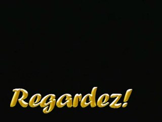 Portable 5-Minute Firework by SARL JACQUES PREVOT 🎆