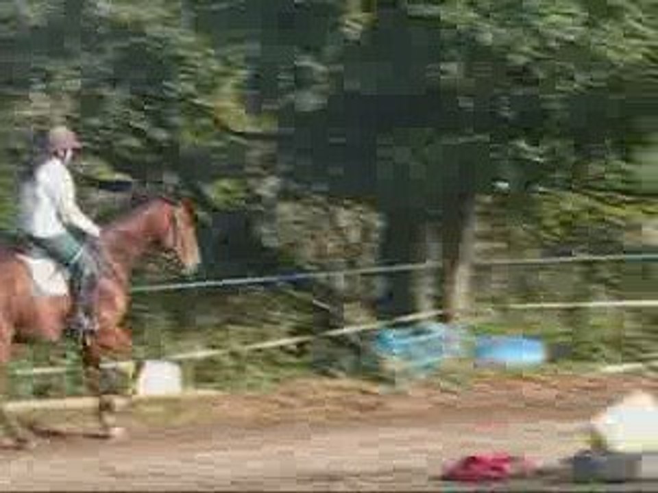 Orelie Du Guilly. Fin de séance de dressage.