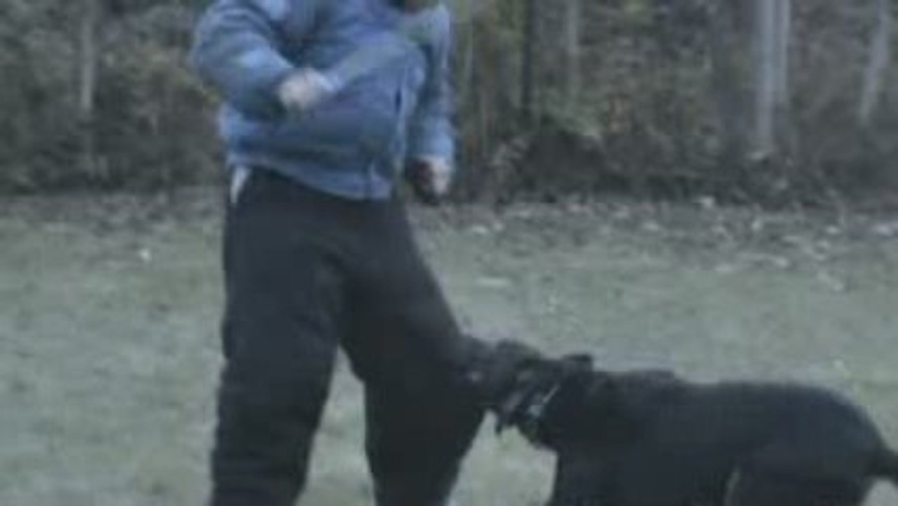 face pivot gauche bosron