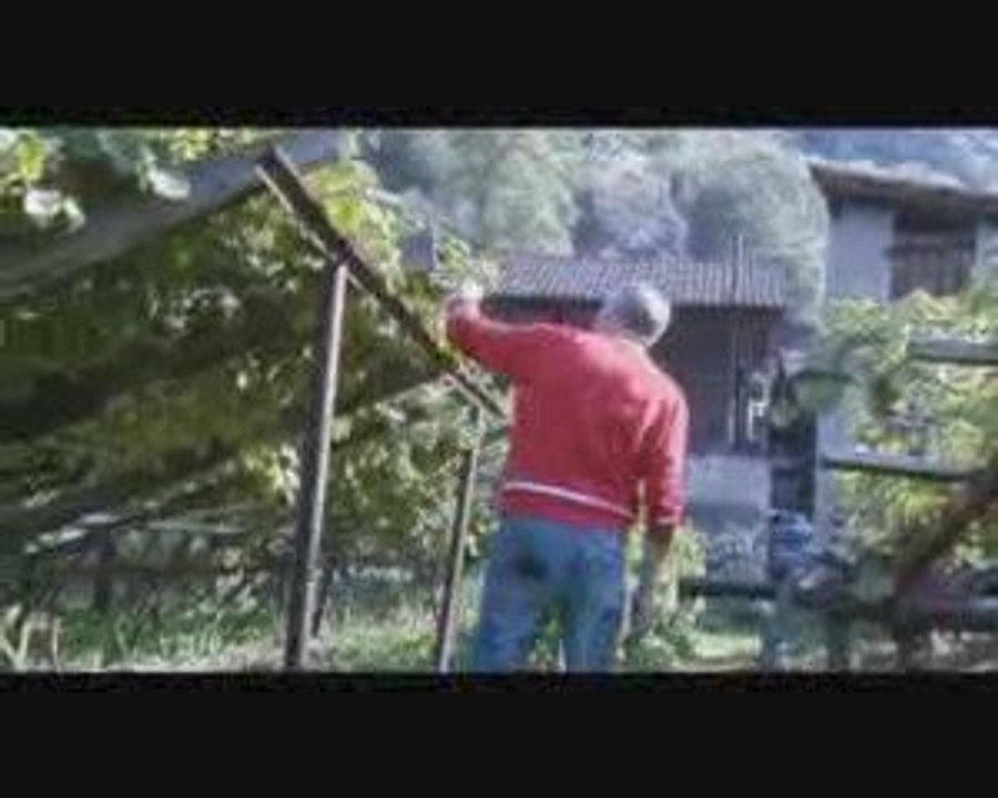 Lafnetscha
