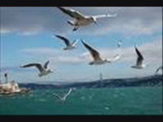 serhat solmaz-acılar deniz-şiir