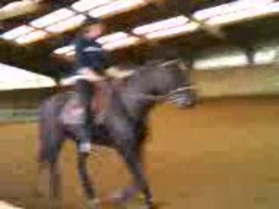 Cour d'équitation au plat du 24/10/09 part 1/1