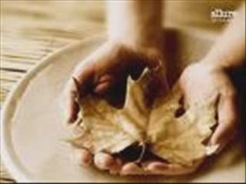 serhat solmaz- sen benim hiç bir şeyimsin -şiir-video