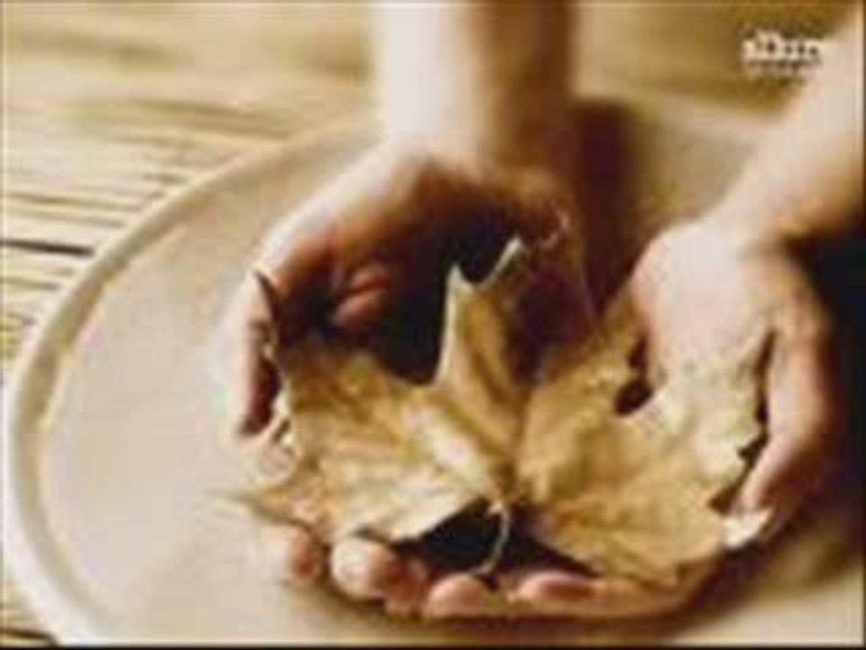 serhat solmaz- sen benim hiç bir şeyimsin -şiir-video