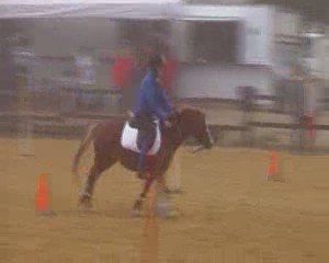 Apple Five Logis du Poney