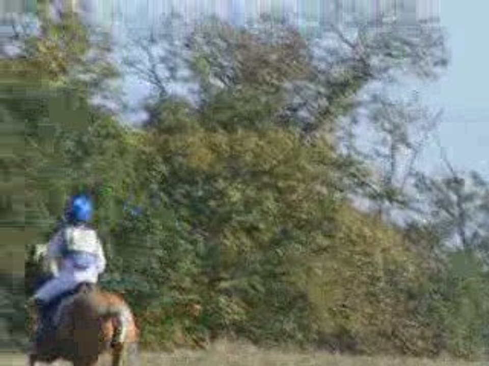 Rocky Sun Quillien. CCE GOVEN. Cross