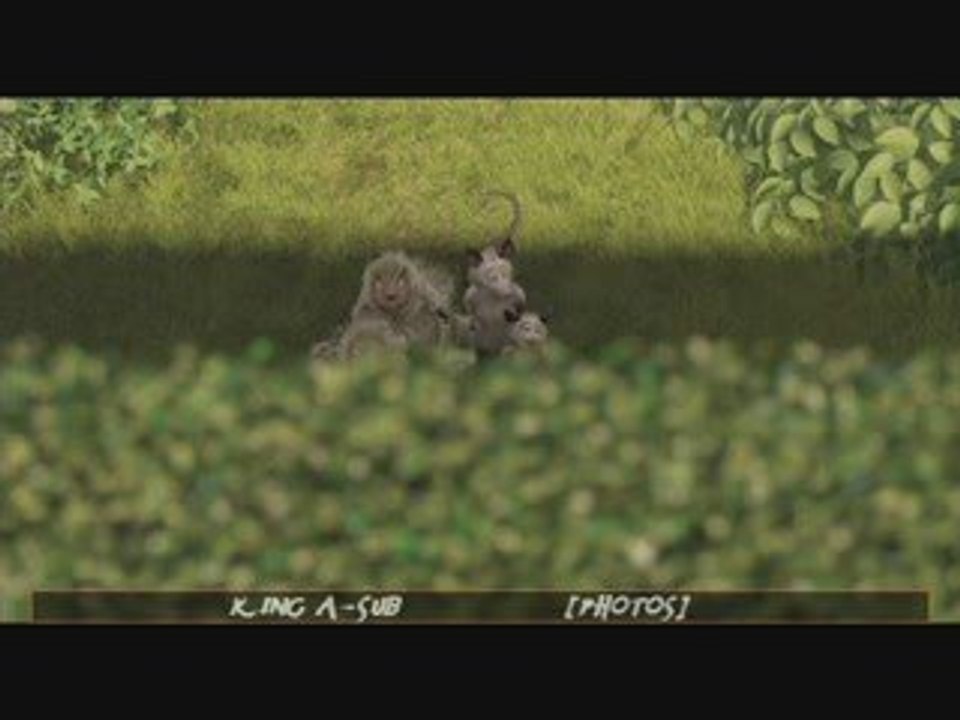 OVEr THe hedgE 24