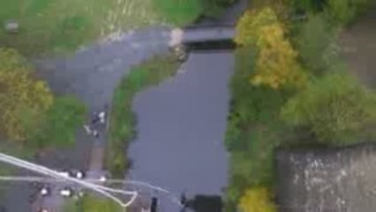 Saut Jesse
