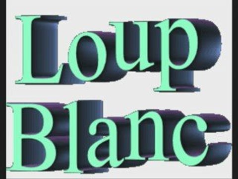 Un hiver froid dans la neige