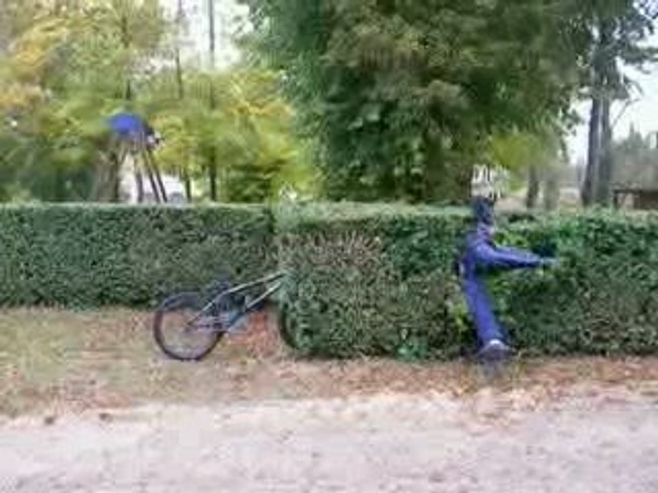 nous a arcis