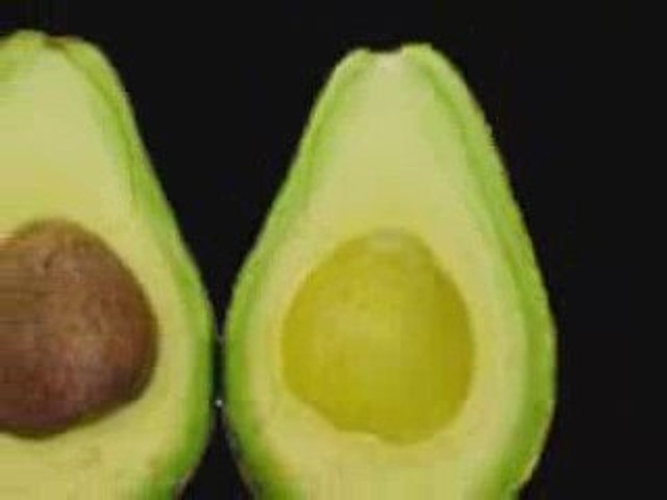 Food patterns of the human body